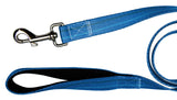 Blue Leash