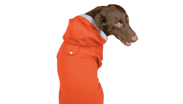 Candy Corn Hoodie