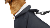 Classy Canine Hoodie