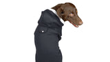 Classy Canine Hoodie