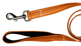 Orange Leash