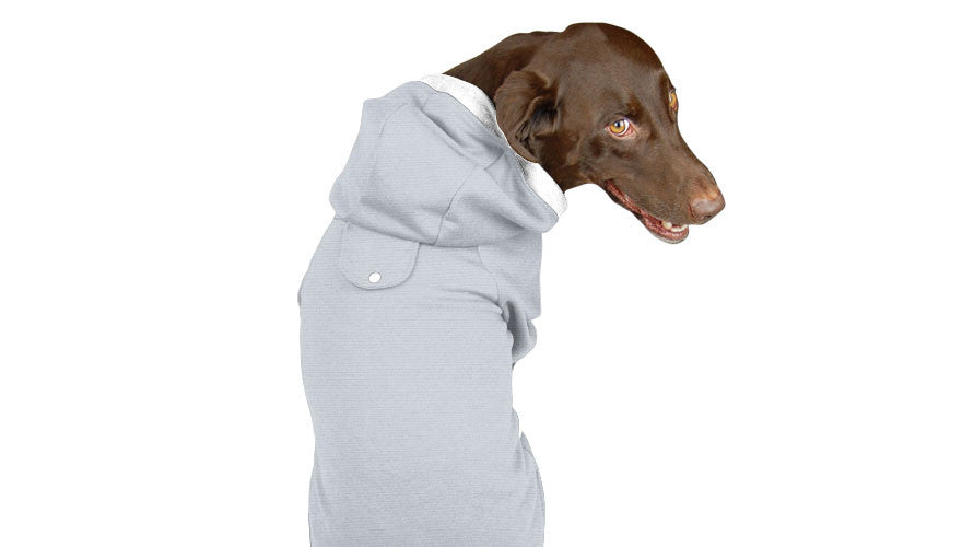 Standard Hoodie