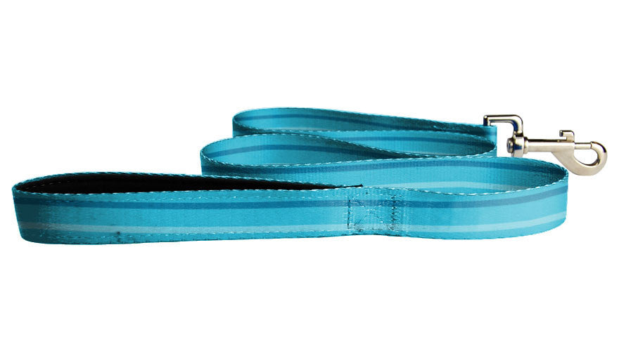 Teal Leash