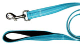 Teal Leash