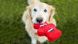 Fire Hydrant Dog Toy