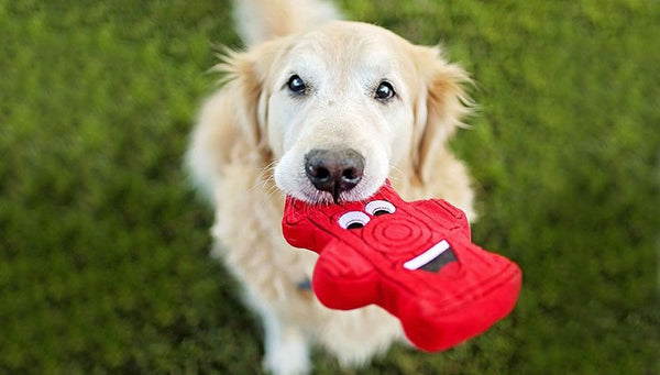 Fire Hydrant Dog Toy