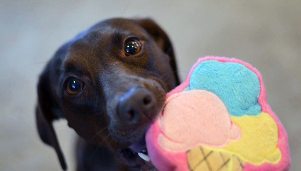 Ice Cream Cone Dog Toy