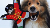 Hook the Pirate Dog Toy