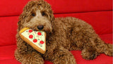 Pizza Dog Toy